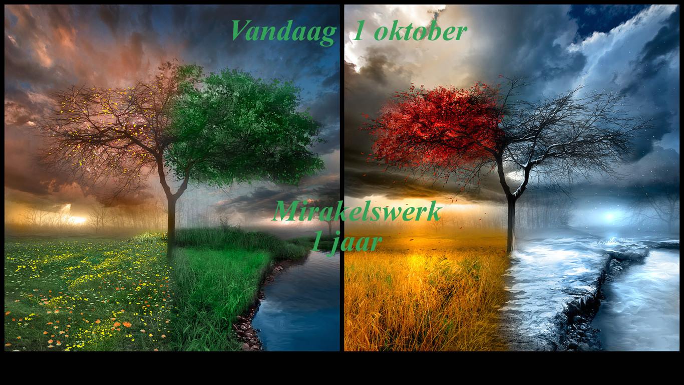 1 jaar Mirakelswerk!